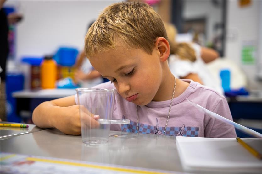A boy looks at a cucumber seed through a magnifying glass